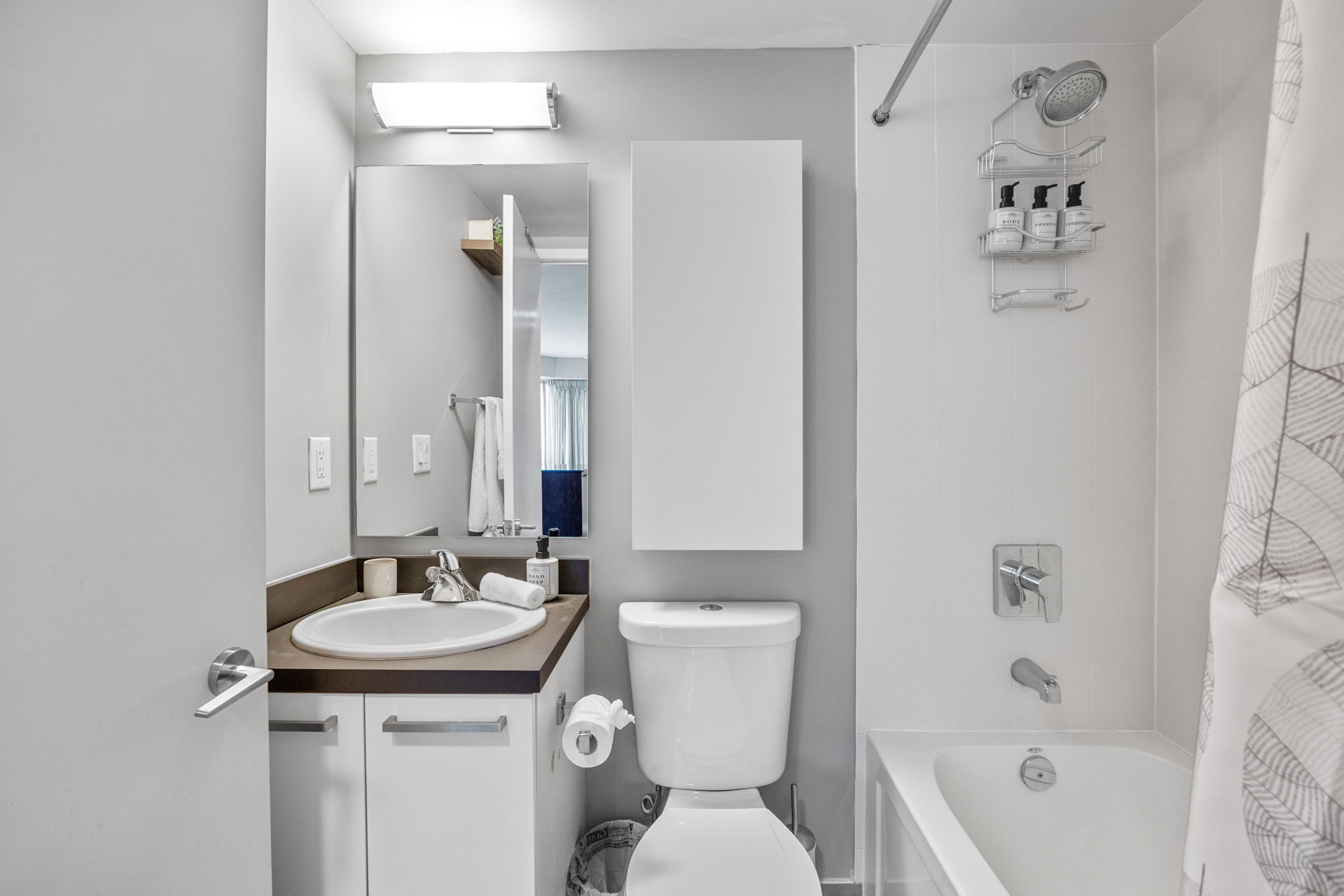 Toronto property showcase — delivered property photograph 10