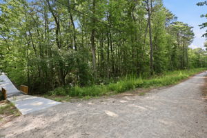  Photo 49