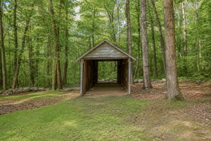  Photo 32