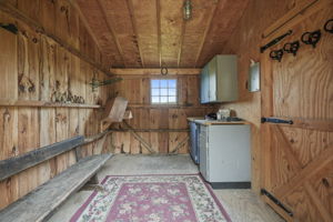 Photo 49