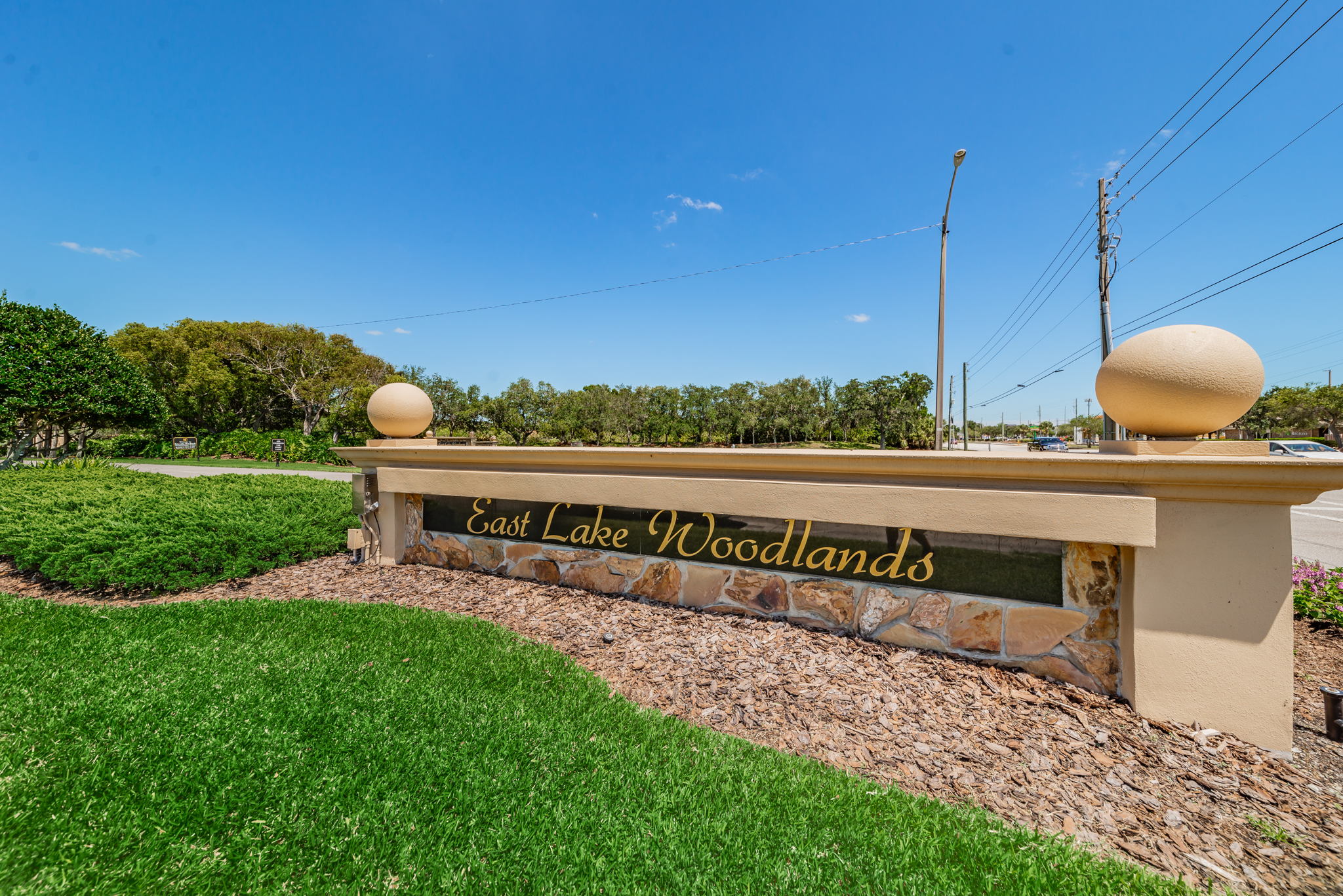 1-East Lake Woodlands Gated Entry1