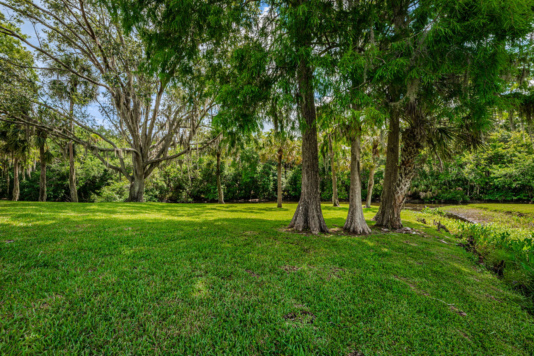 Backyard4-2