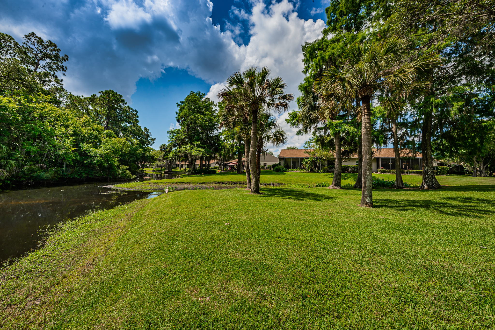 Backyard8