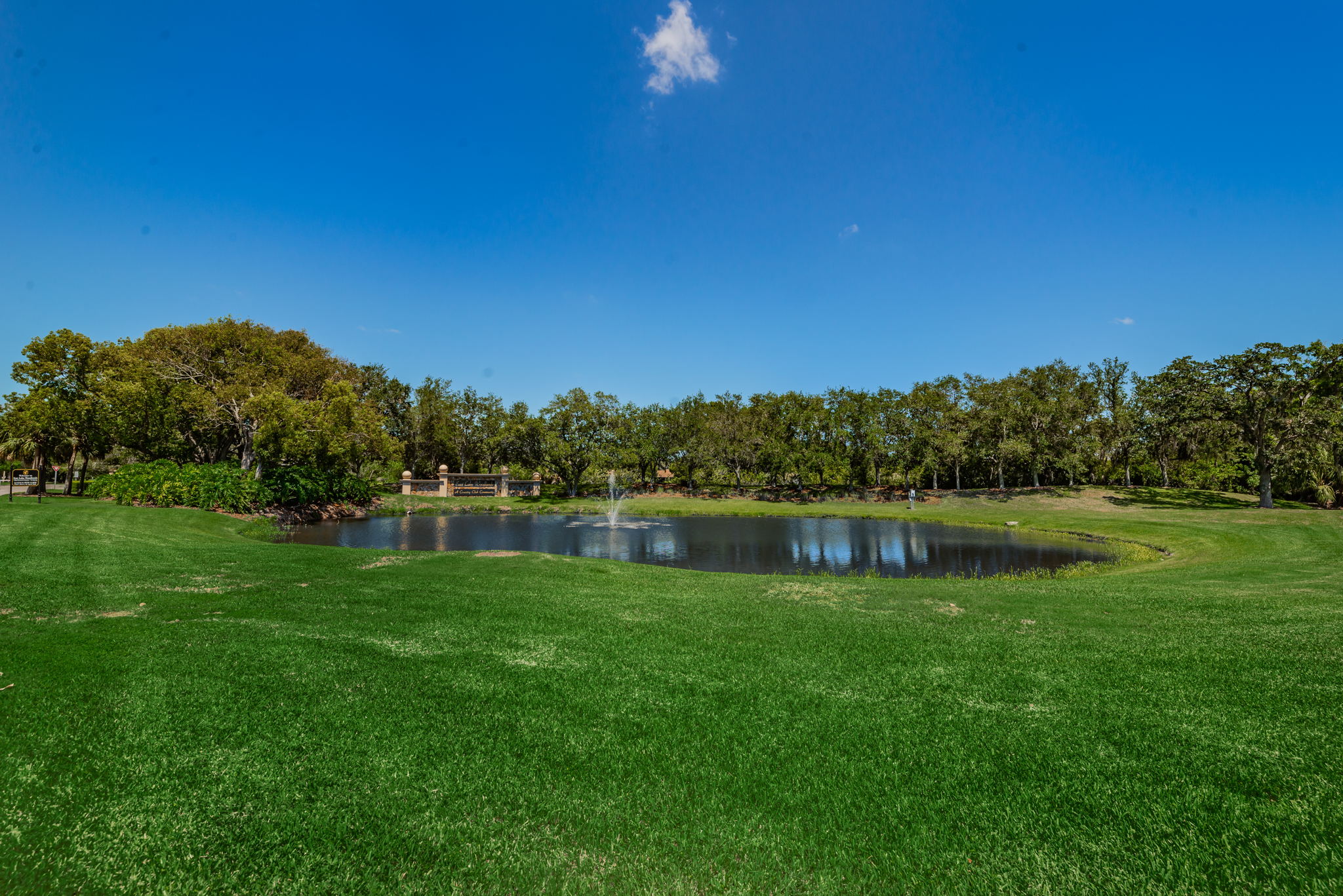 3-East Lake Woodlands Gated Entry3