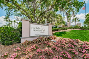 12-East Lake Woodlands1