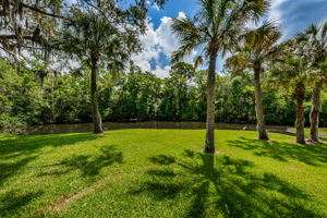 Backyard5