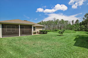 Back of Home