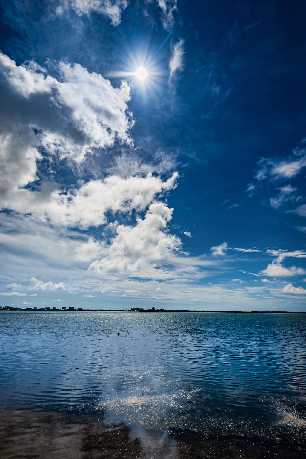 Walking Path and Water View3