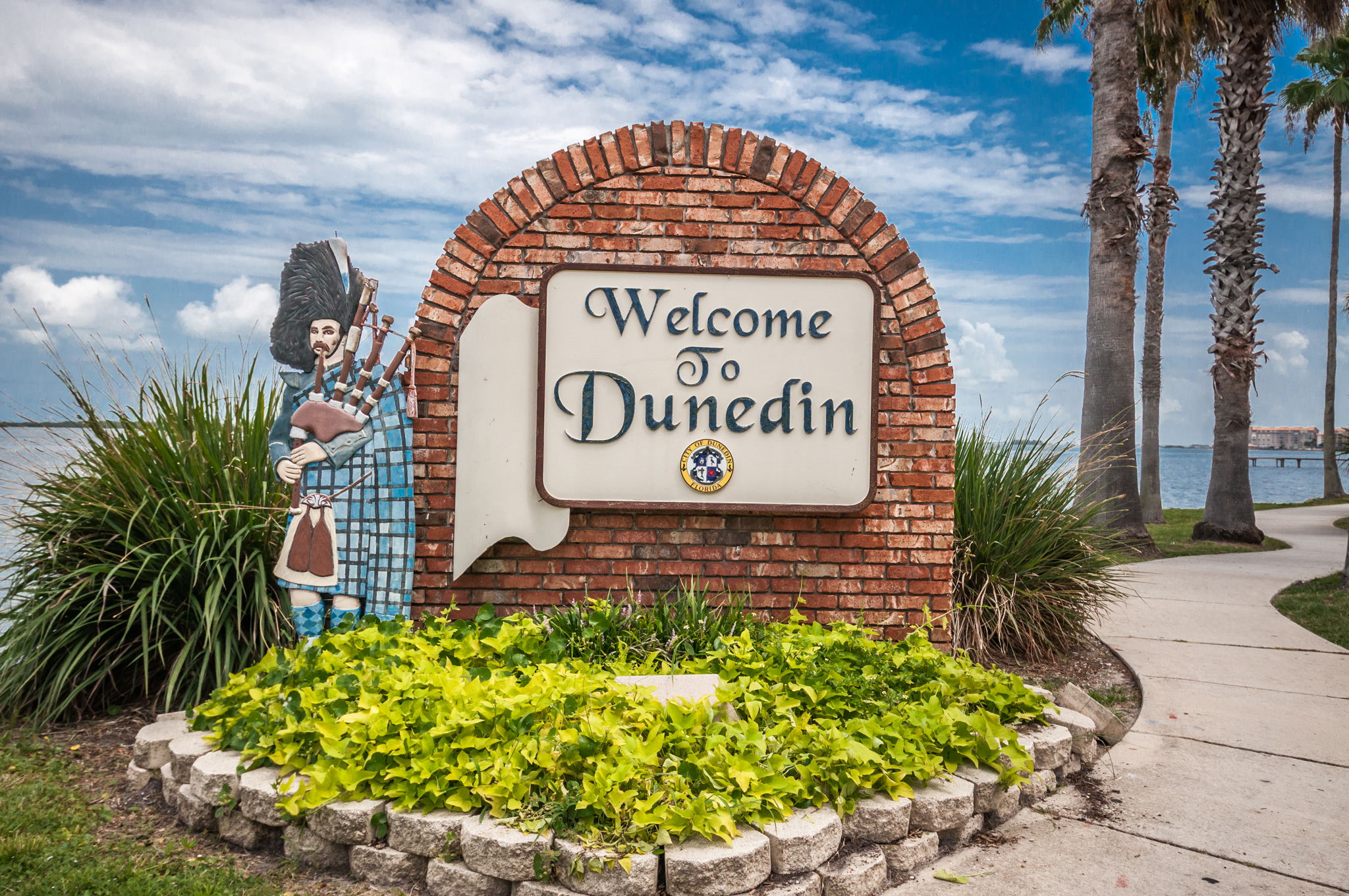 Welcome to Dunedin1