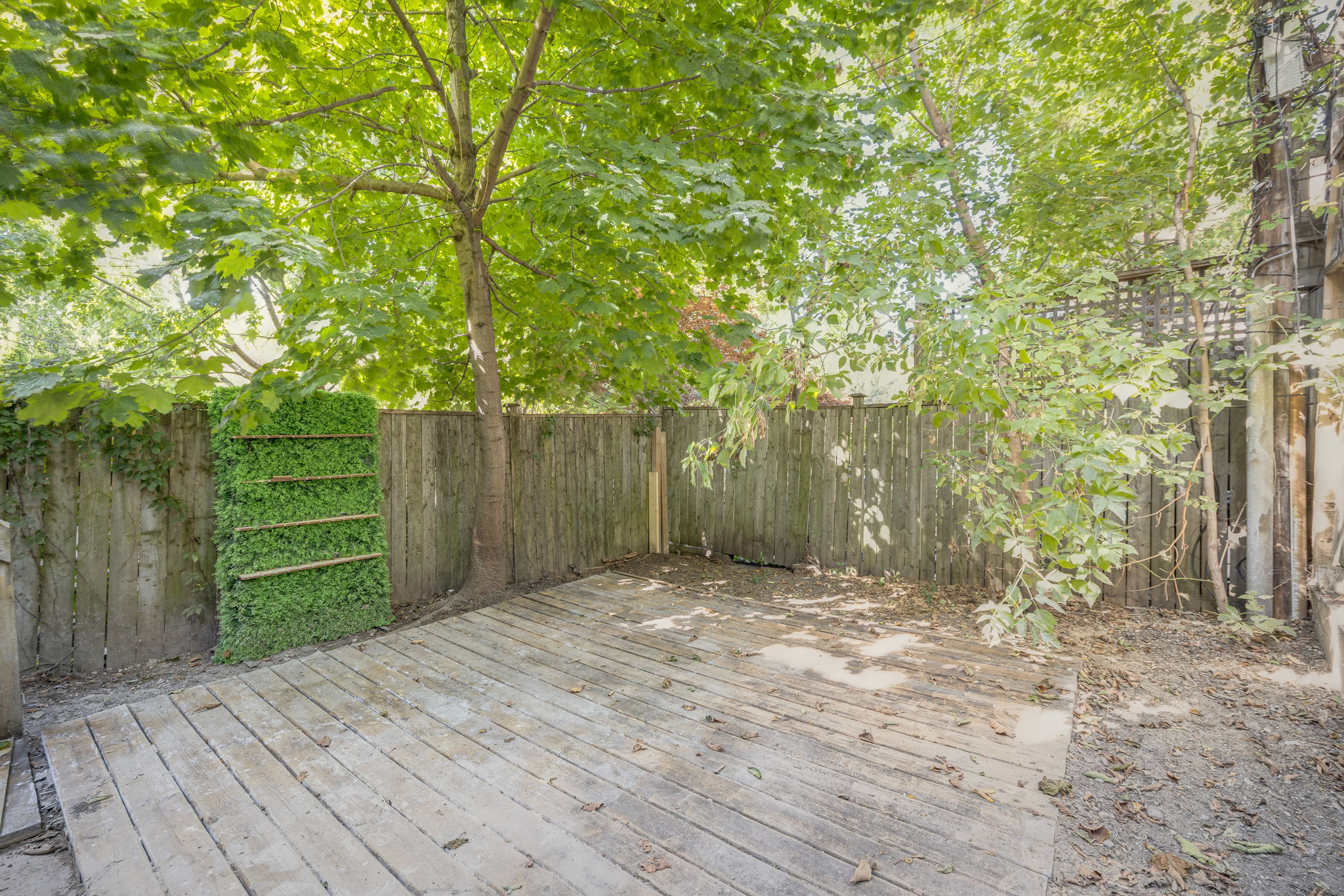 Toronto property showcase