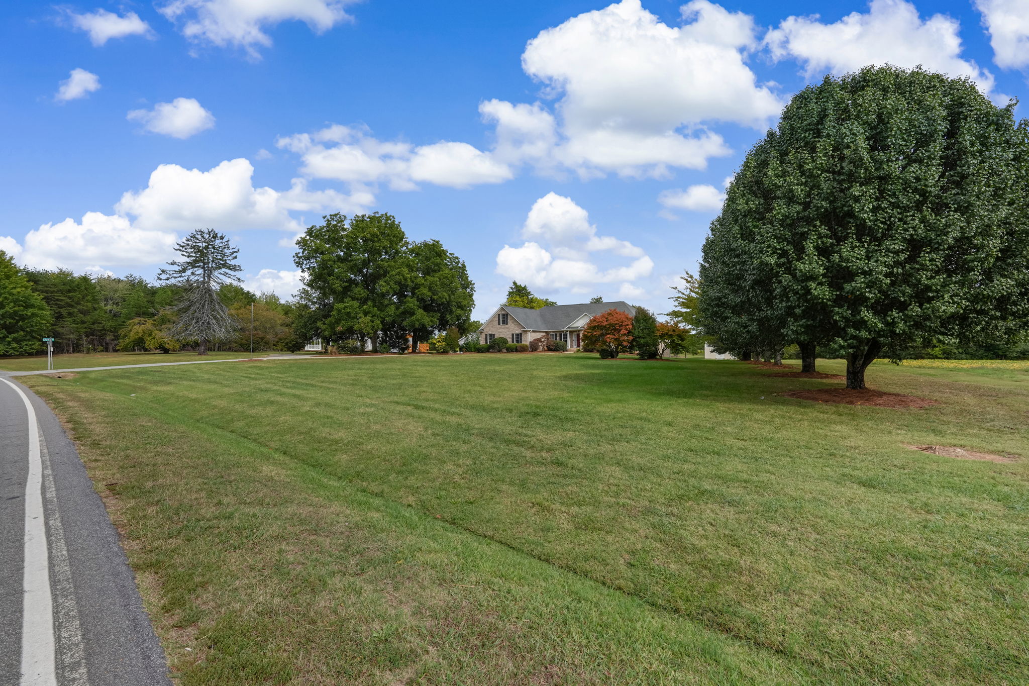 Front Yard