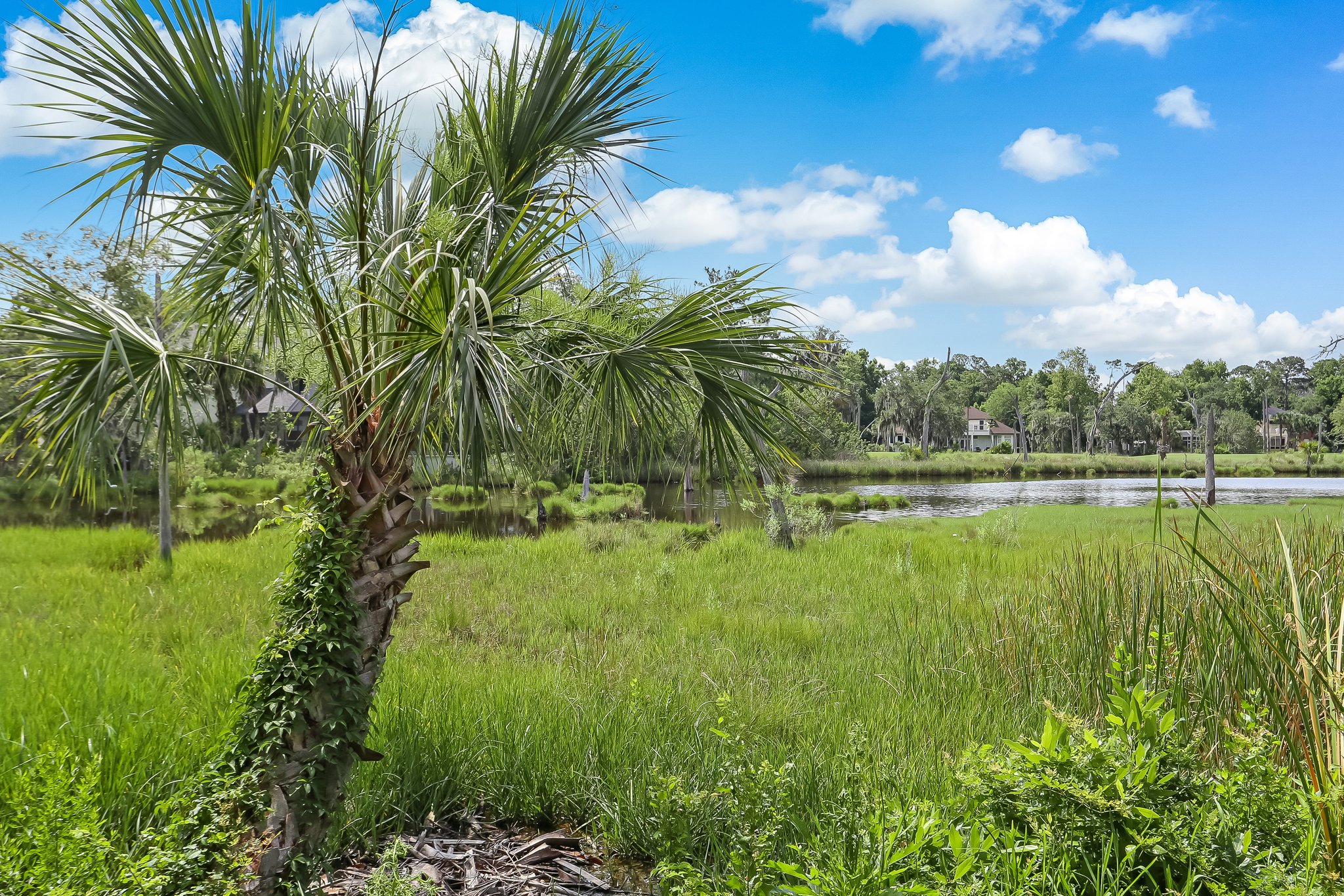 Marsh Landing