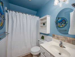  Photo 47