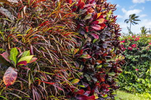  Photo 47