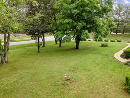 DJI_0675.jpg