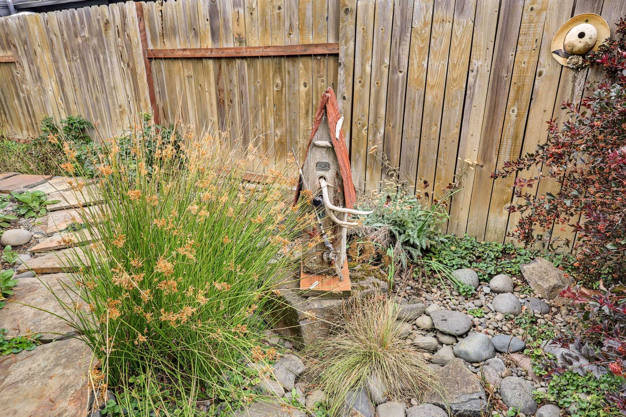  Photo 41