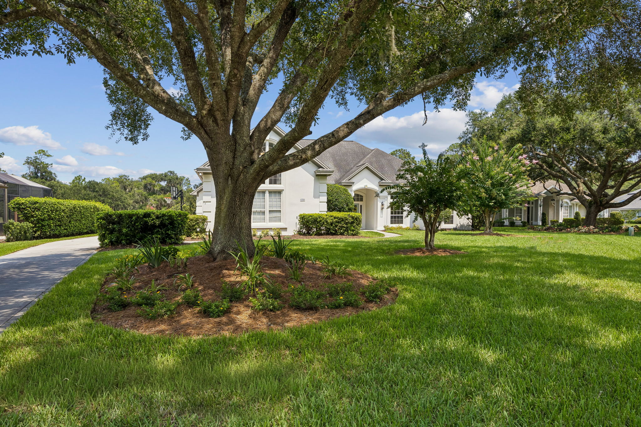 Front Yard