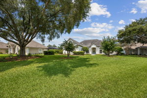 Front Yard