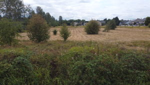  Photo 0
