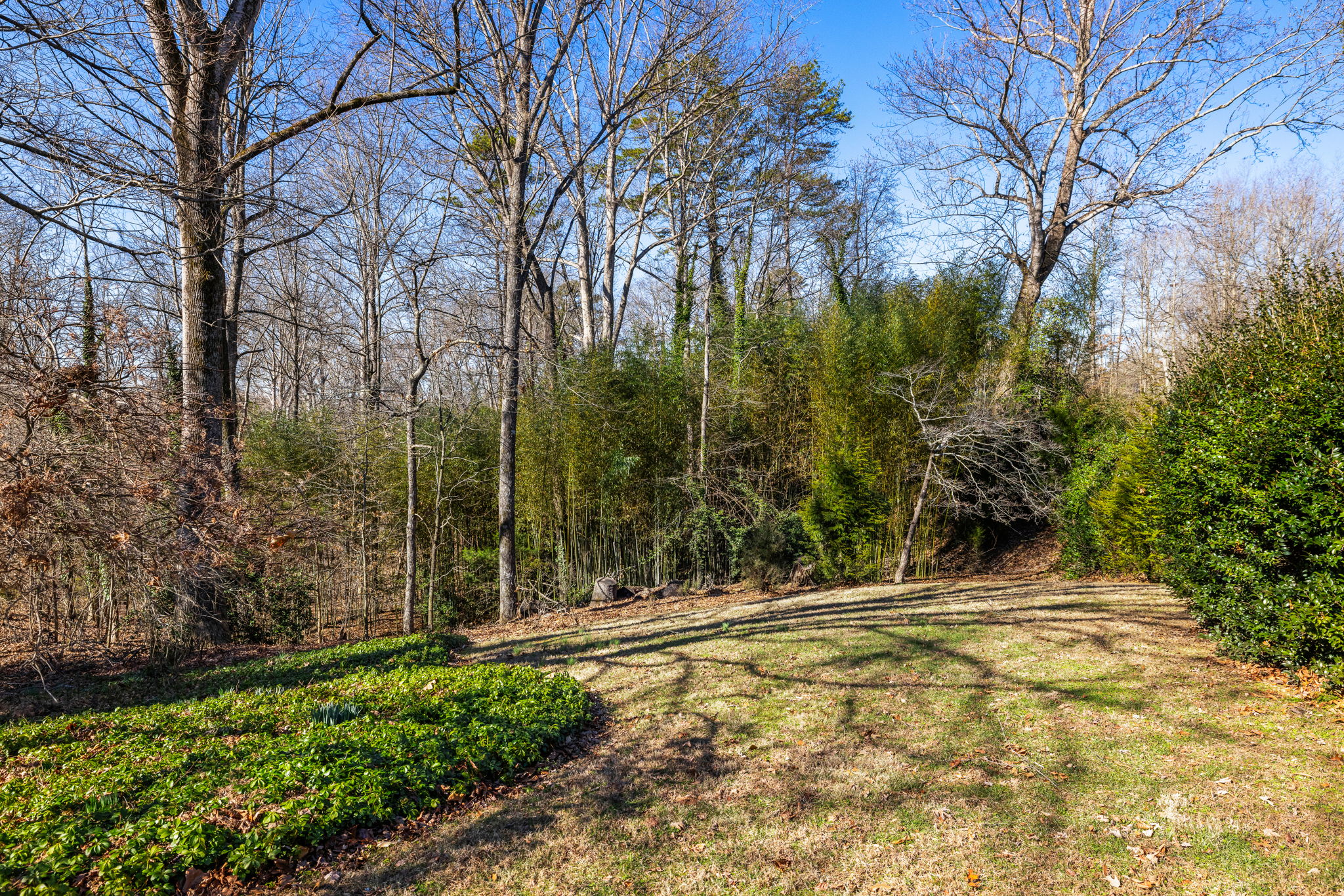 20260118_120overlook_burke241