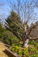 20260118_120overlook_burke219