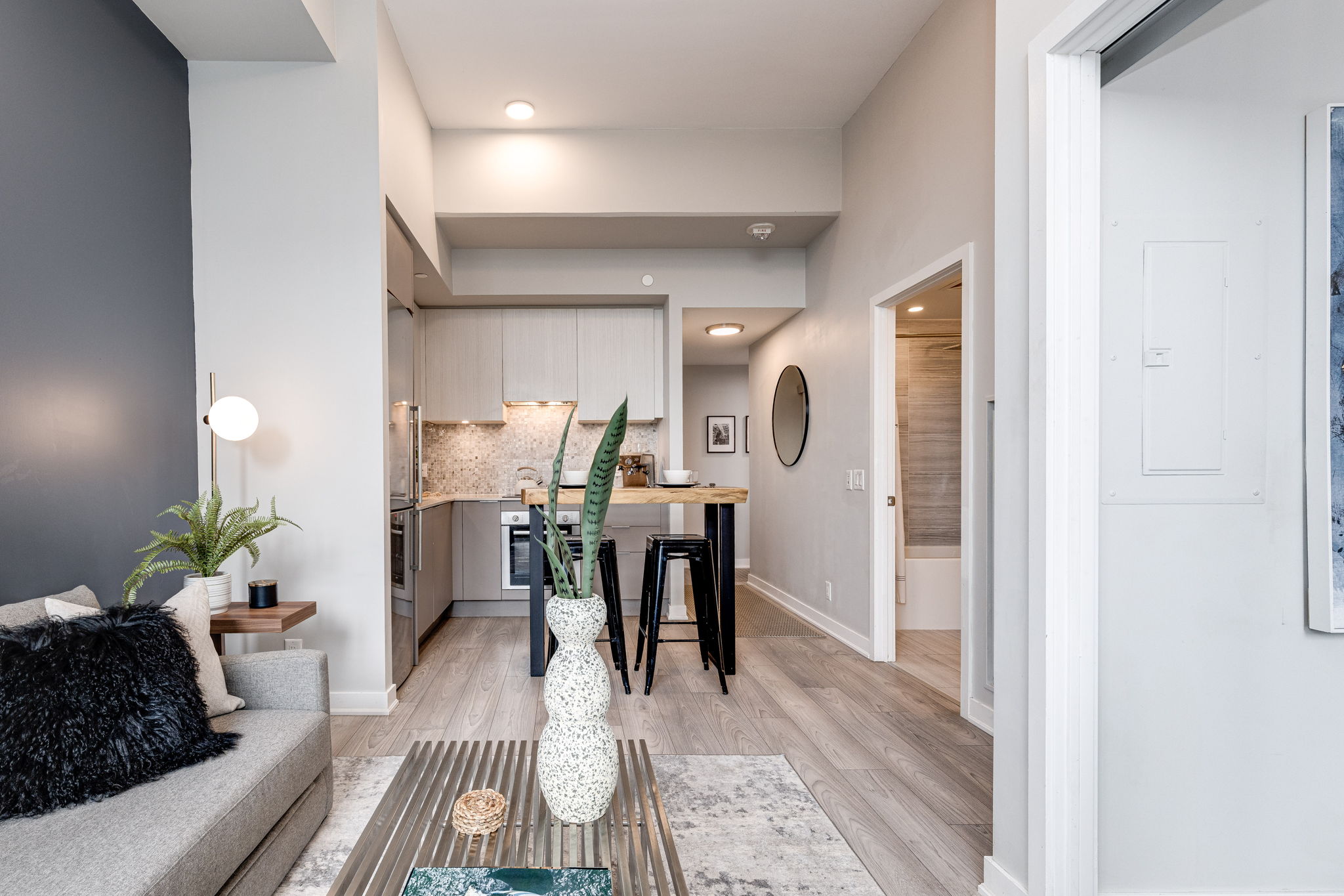Toronto property showcase — delivered property photograph 11
