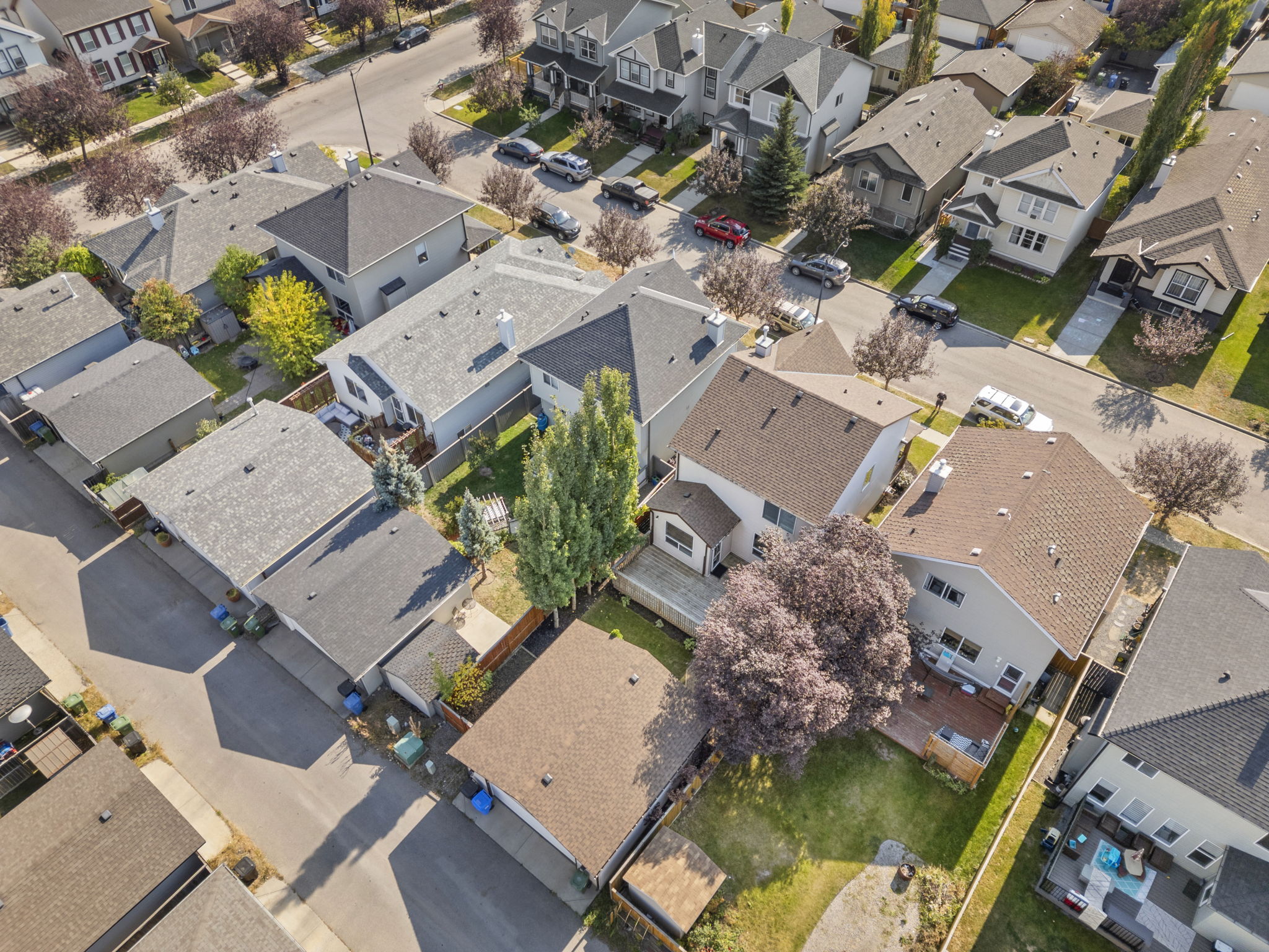 DJI_0867