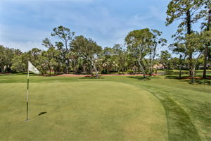 The Plantation