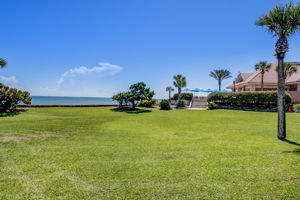 The Plantation