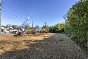 20260216_120scandler_godwin003