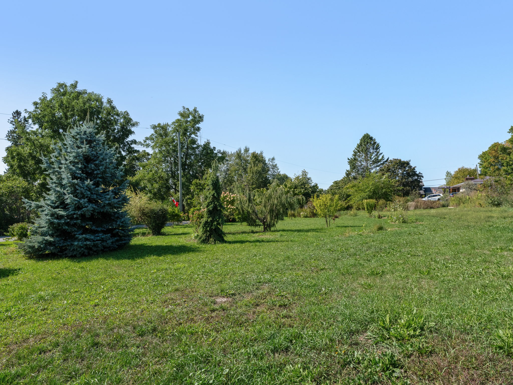  Photo 45