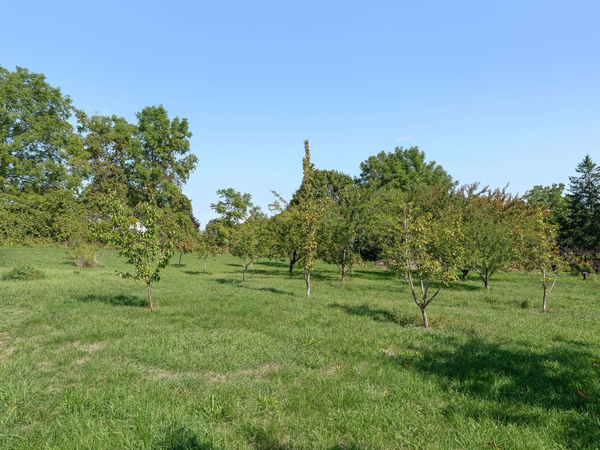  Photo 46