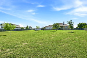 Back of House/Back Yard