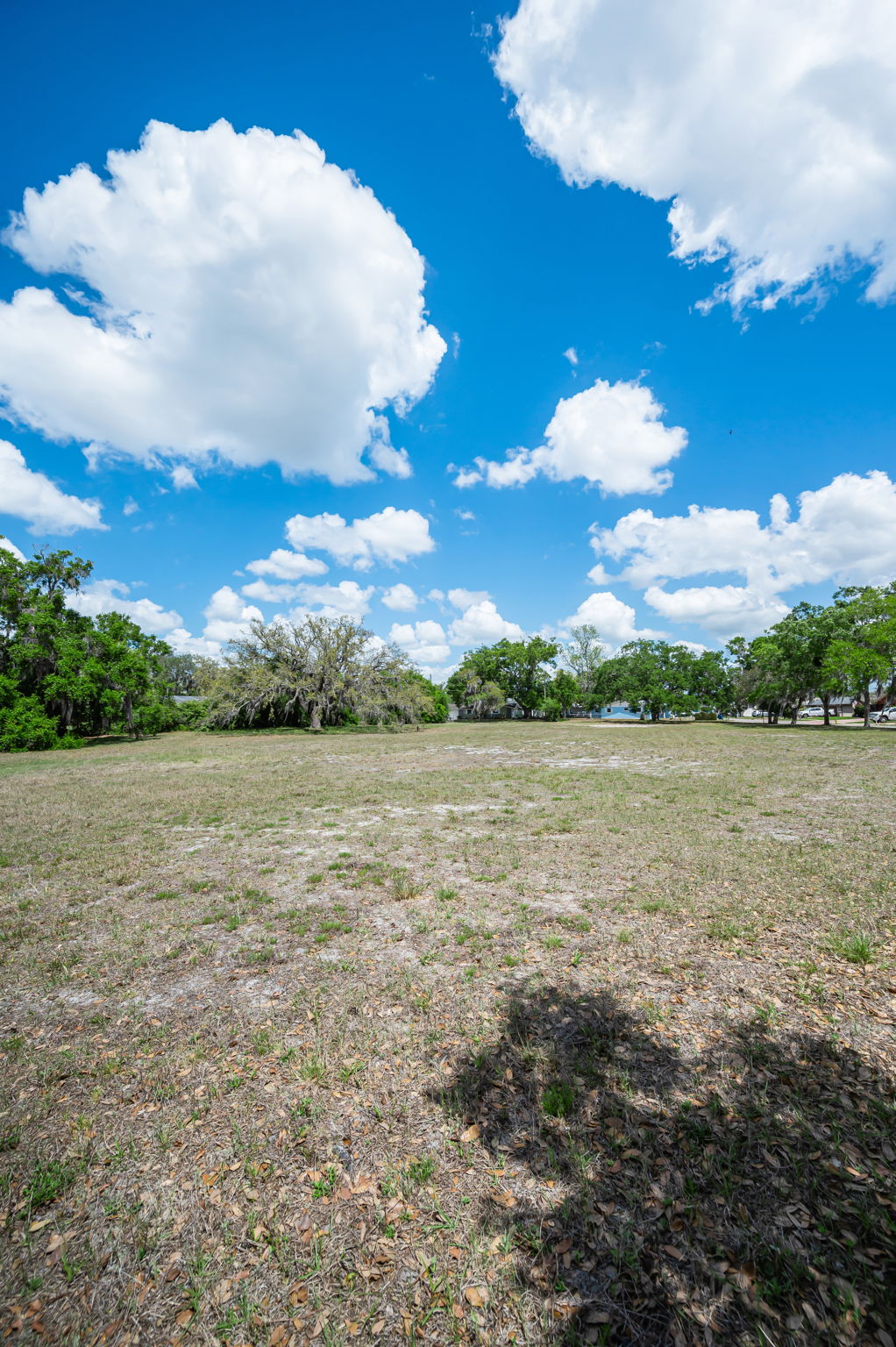 Vacant Lot (36)