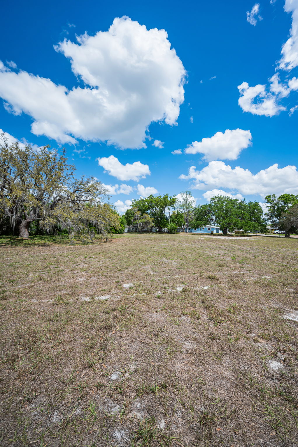 Vacant Lot (23)