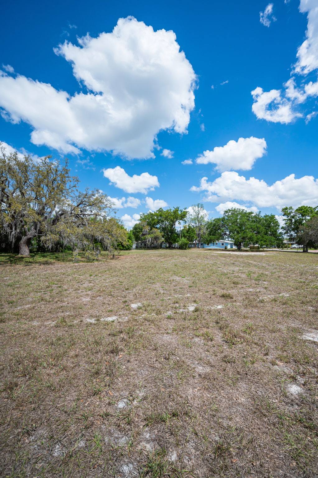 Vacant Lot (24)