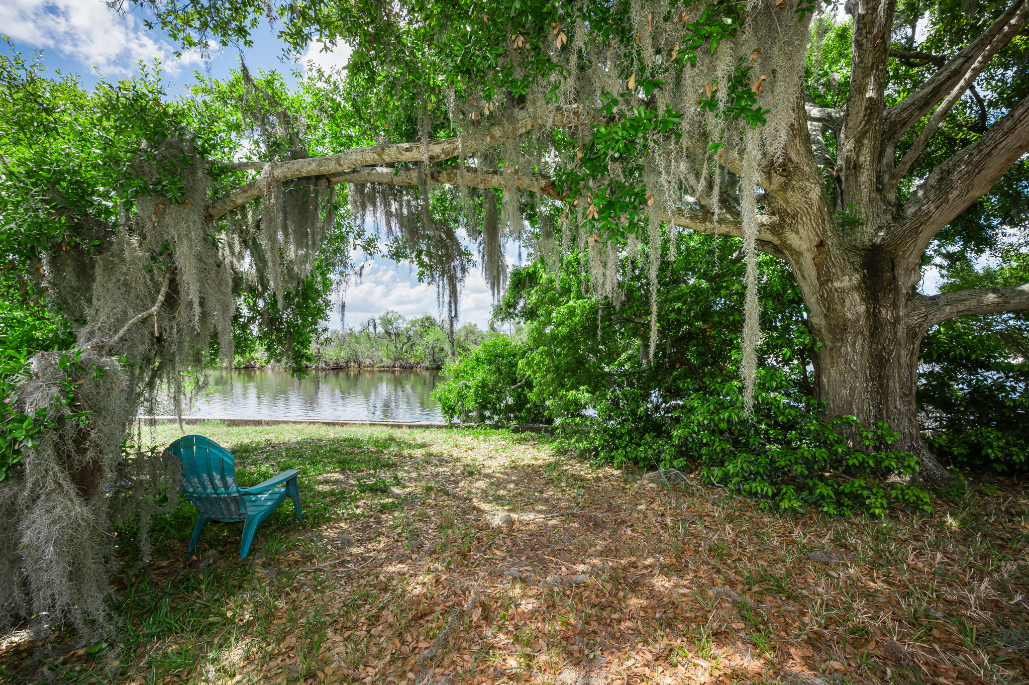 Vacant Lot (14)