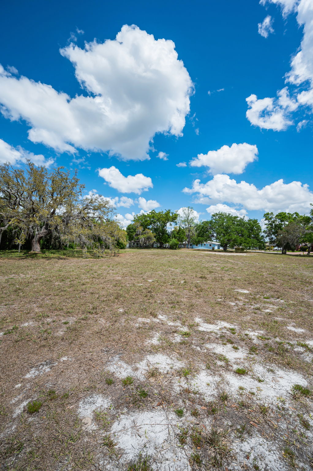 Vacant Lot (21)