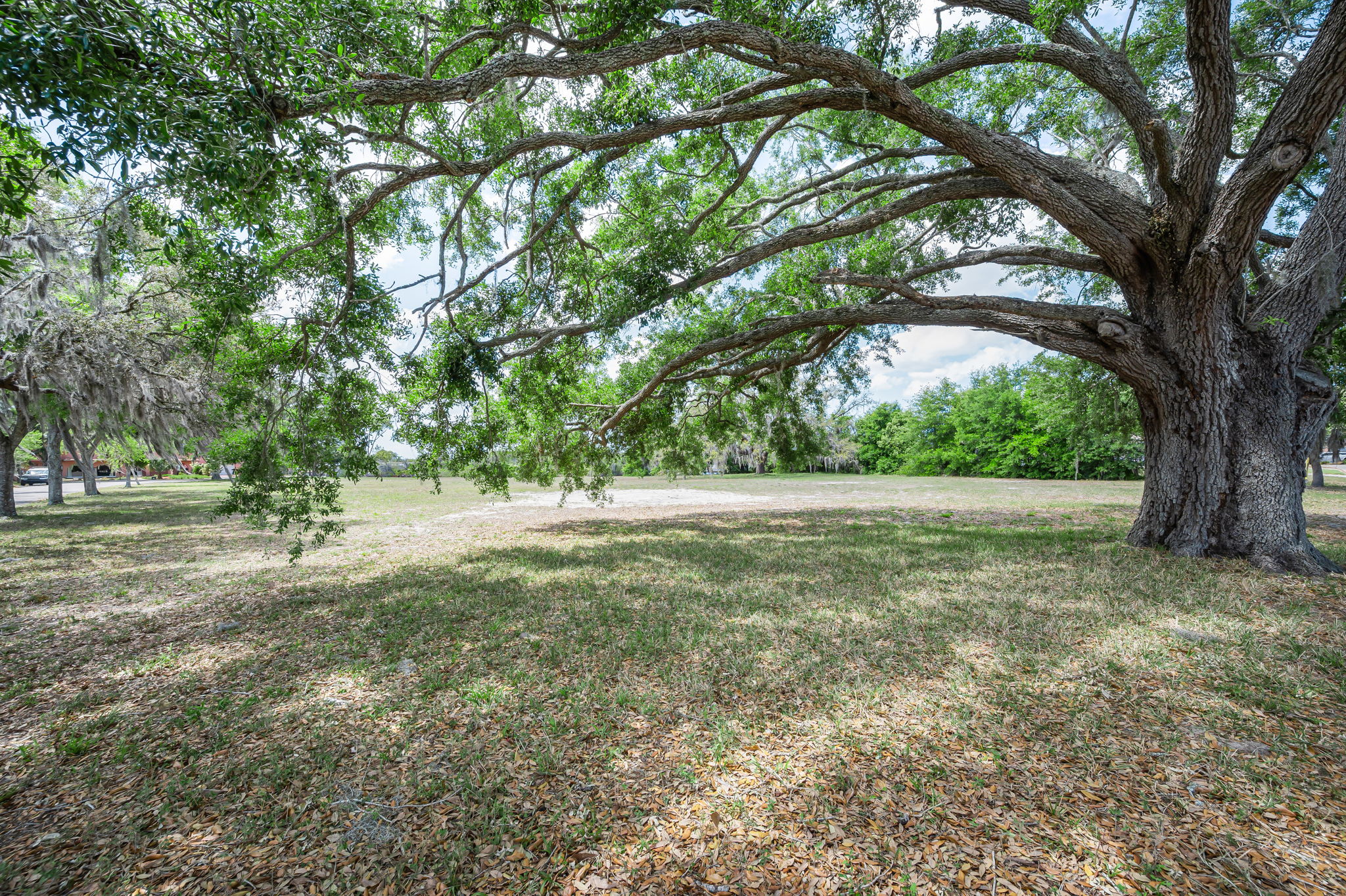 Vacant Lot (7)