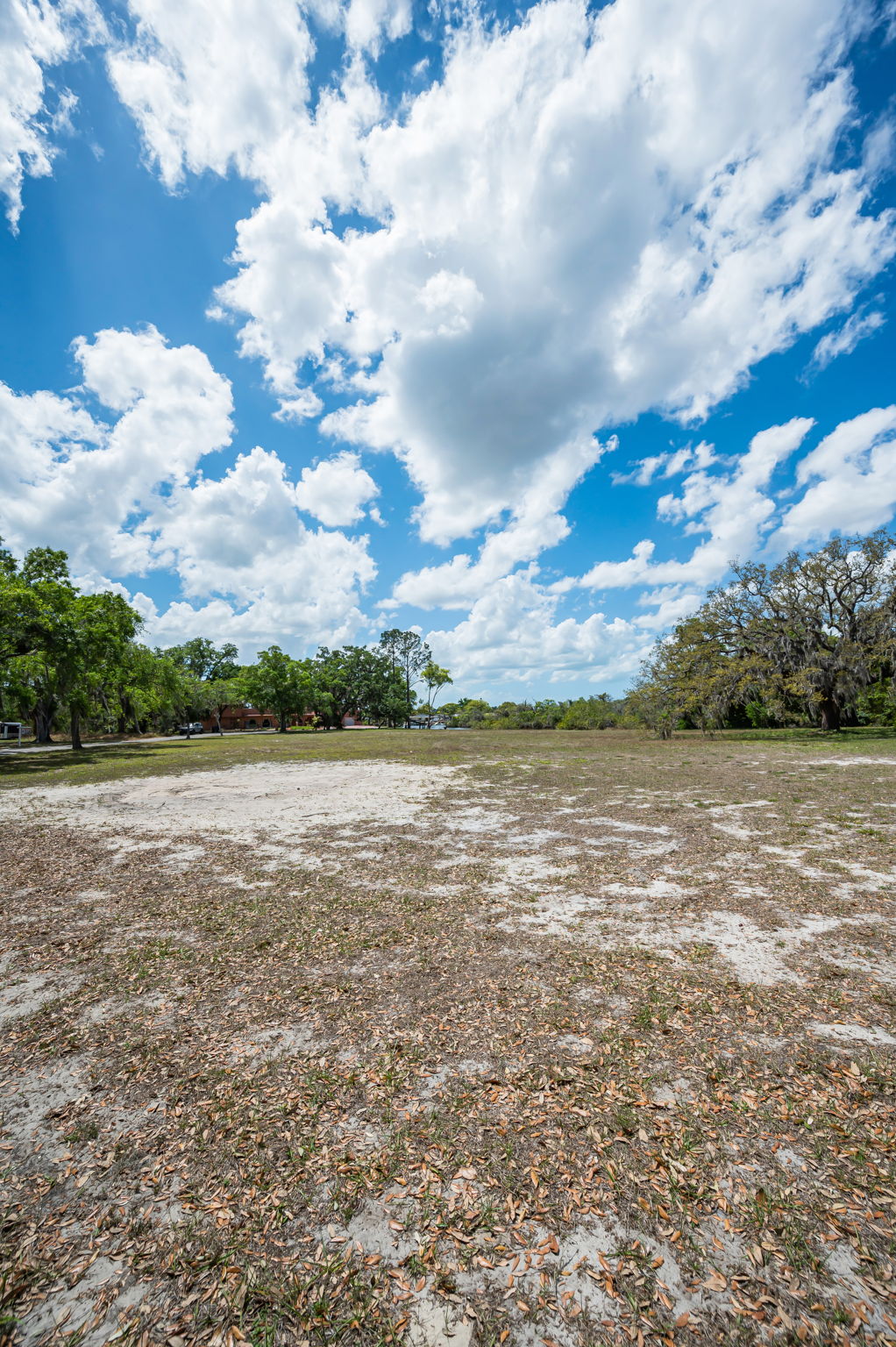 Vacant Lot (9)
