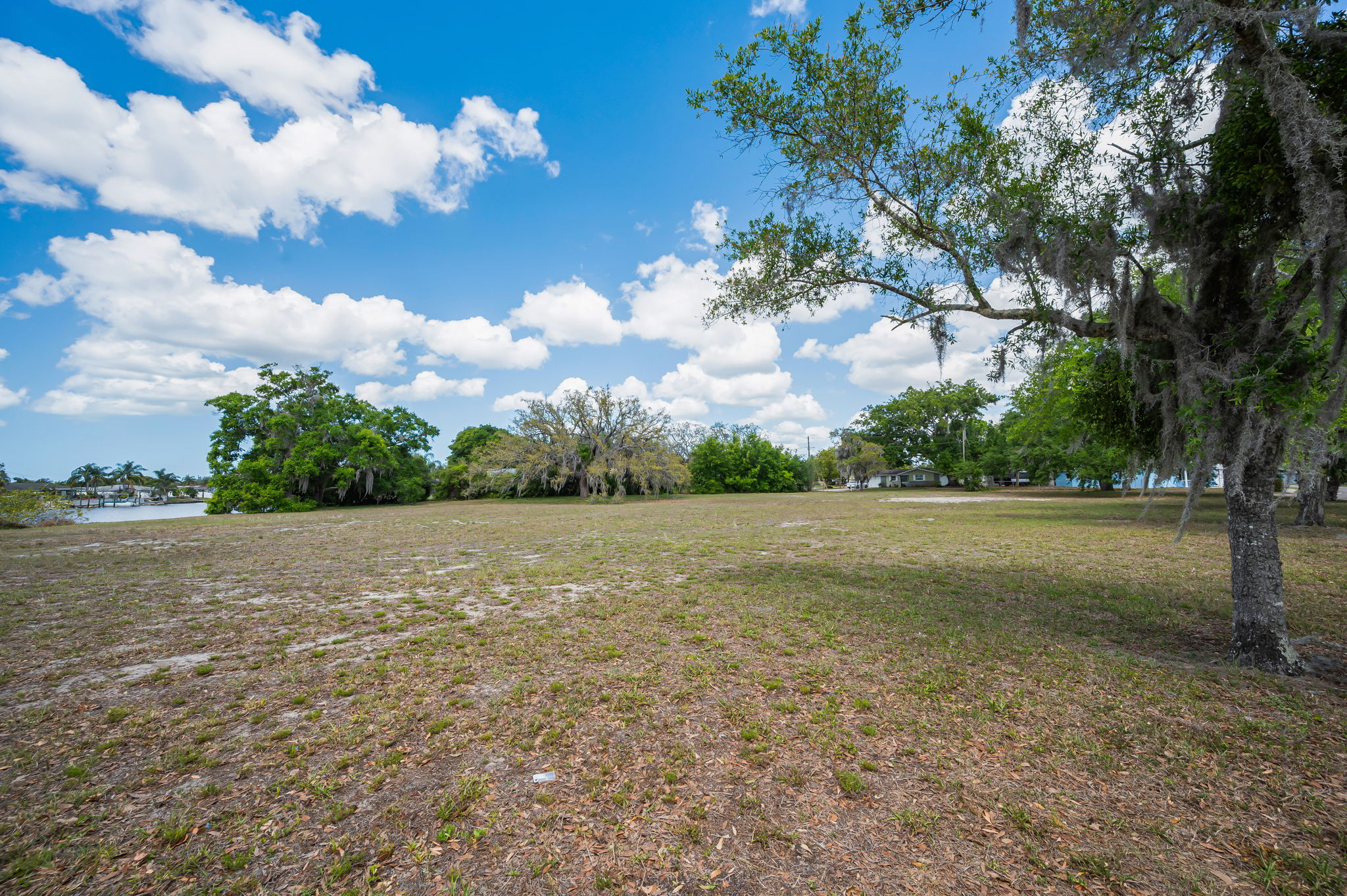 Vacant Lot (1)