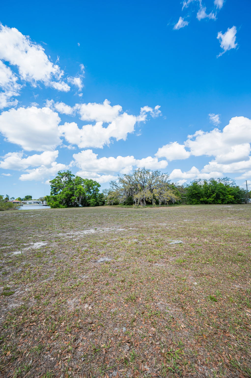 Vacant Lot (3)