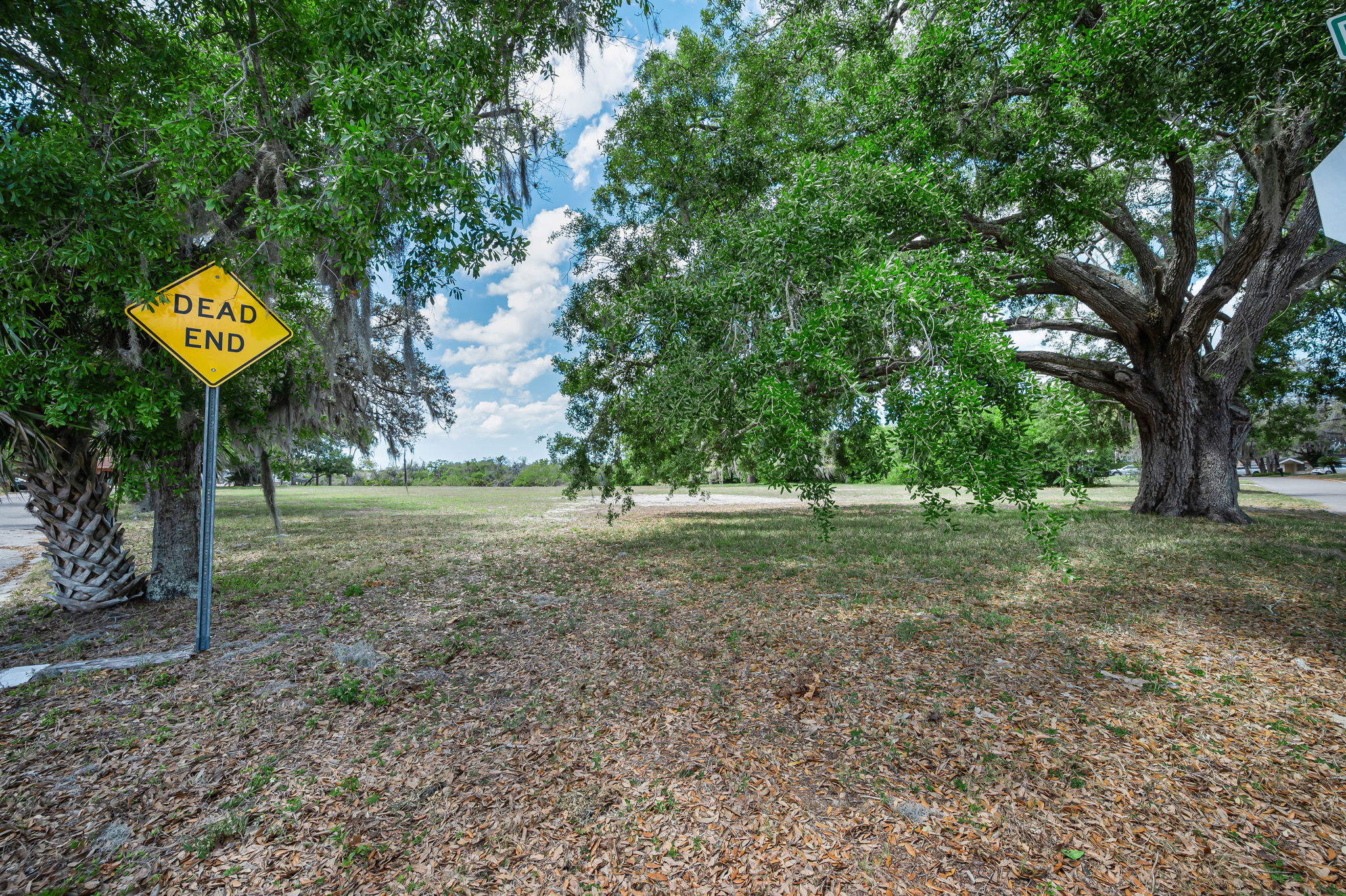 Vacant Lot (6)