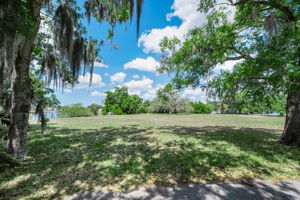 Vacant Lot (29)