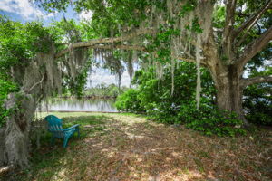 Vacant Lot (14)