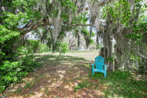 Vacant Lot (19)