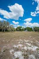 Vacant Lot (21)