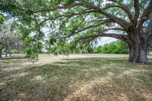 Vacant Lot (7)