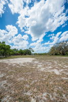 Vacant Lot (9)