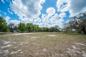 Vacant Lot (11)